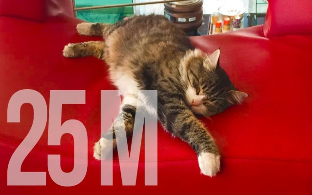 Yattığı yerden 25 milyon tıklandı