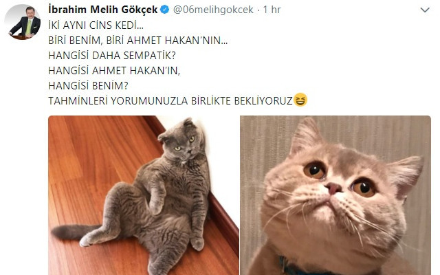 Melih Gökçek ile Ahmet Hakan'ın kedi atışması