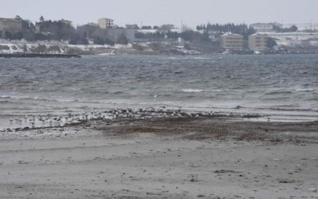 Tekirdağ'da korkutan görüntü depremin habercisi mi?