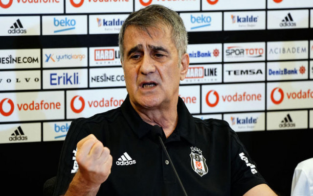 Şenol Güneş'le yollar ayrılıyor