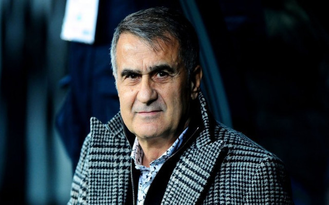 Şenol Güneş: Kötü niyetim yok...