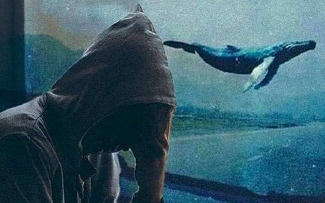Gürer: Mavi Balina belasını yok edin