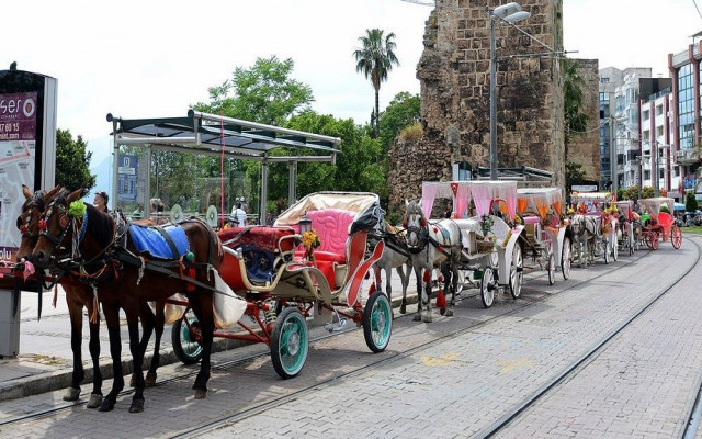 Kuşadası'nda atların çektiği eziyete son verildi