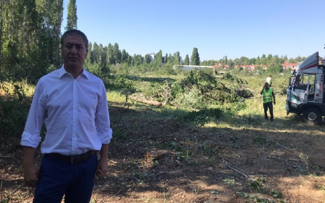 CHP’li vekil ODTÜ’deki ağaç katliamını böyle görüntüledi