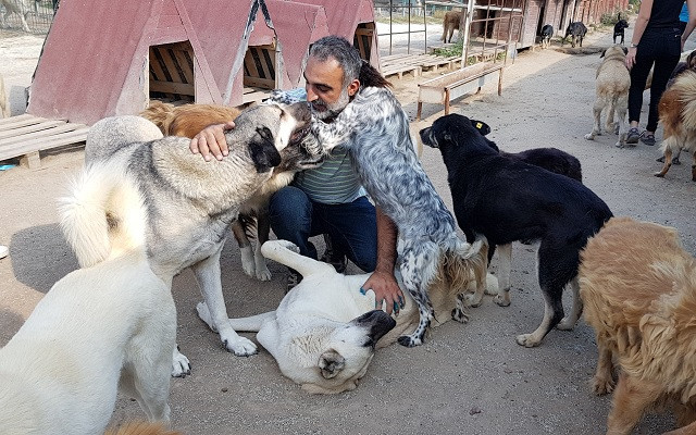 Melekler Şehri Sokak Hayvanlarını Koruma Derneği’nden hayvan severlere kuru ve yaş mama çağrısı