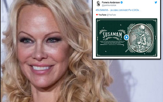 Pamela Anderson'dan Susamam paylaşımı!