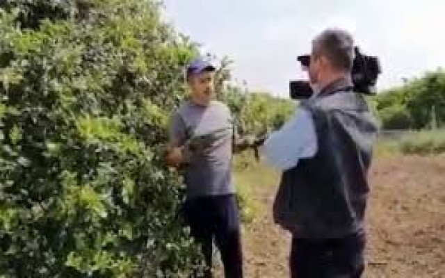 Ahmet Hakan: Ahmakça kumpas
