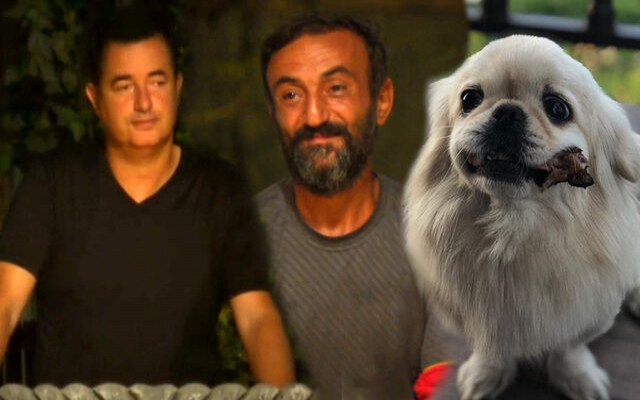 Survivor Ersin neden elendi?