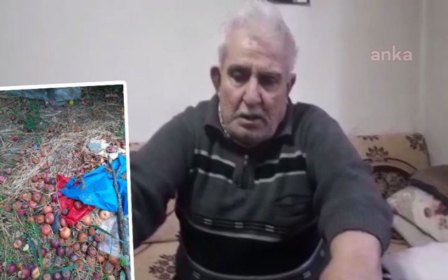 Haciz kıskacına giren çiftçini ürünü tarlada kaldı