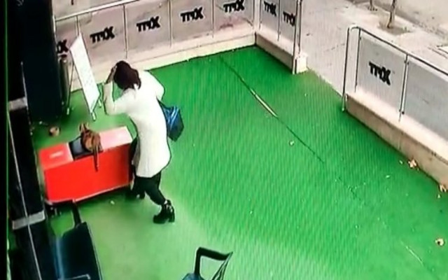 Hamile Kediyi Tekmeleyen Kadından Akılalmaz Savunma