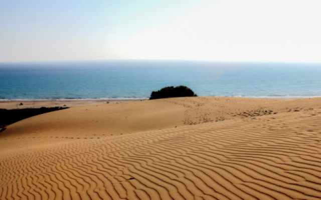 Patara'dan Kum Çalanları Yakalayan Memur Görevden Alındı