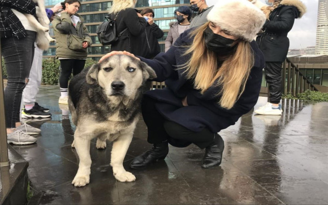 Lüks Sitede Köpek Kavgası; Genç Kadına Samuray Kılıçlı Tehdit...