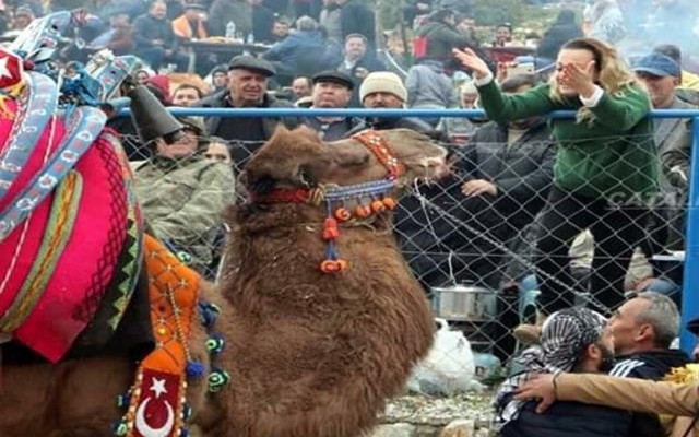 Bodrum'da İnsanları Dolandıran Süperstar Alev Tutuklandı