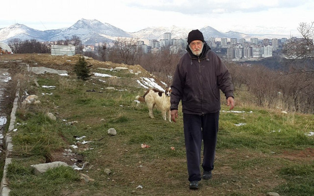 Kira Artışı Sahipsiz Kopekleri de Vurdu