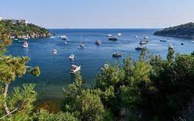 Heybeliada'da doğa katliamı: Ağaçları kesip aquapark yaptılar